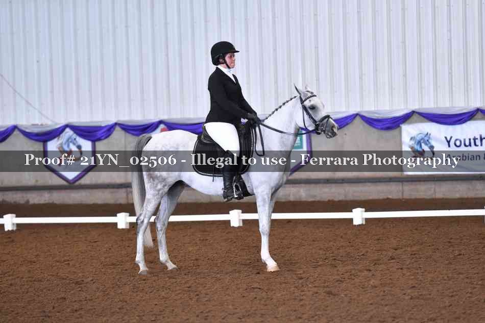 Proof Number 21YN_02506