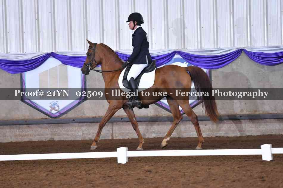 Proof Number 21YN_02509