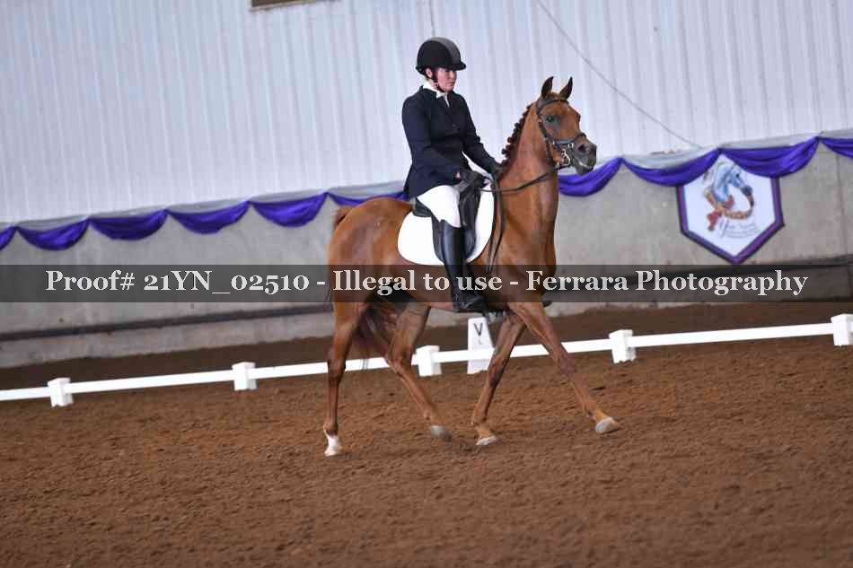 Proof Number 21YN_02510