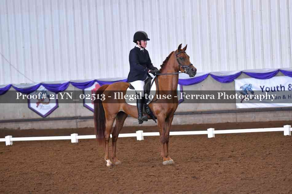 Proof Number 21YN_02513