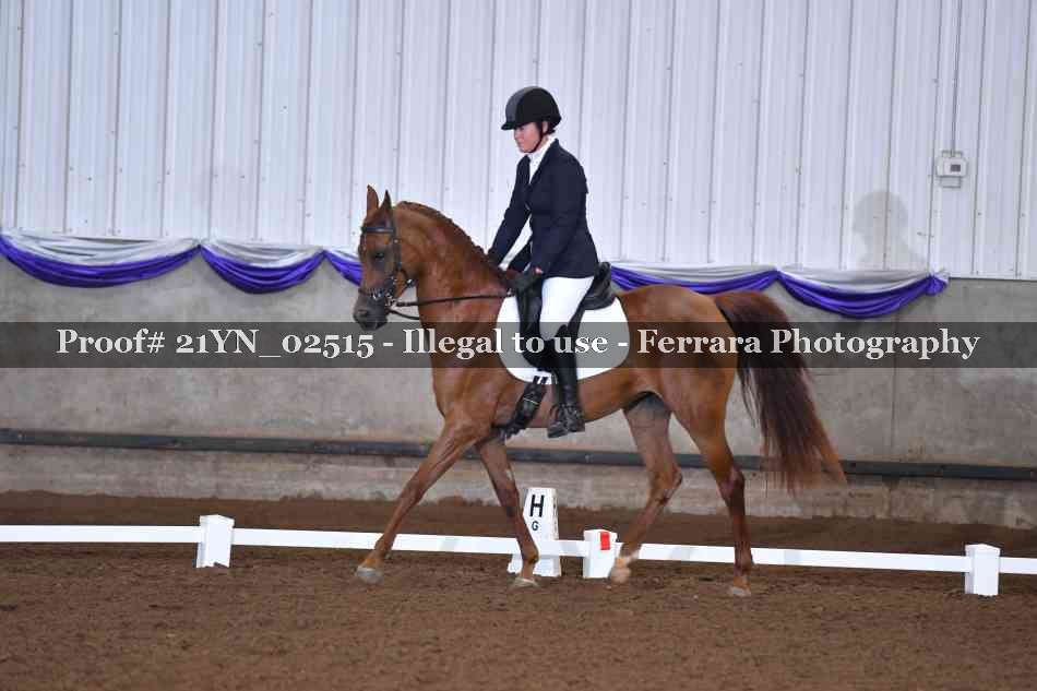 Proof Number 21YN_02515