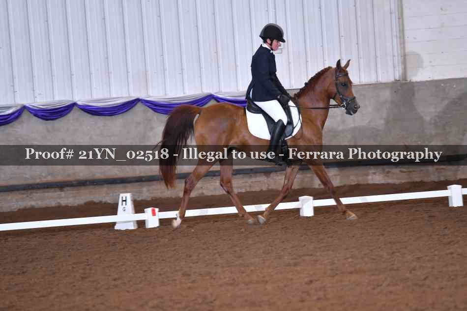 Proof Number 21YN_02518