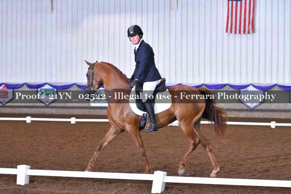 Proof Number 21YN_02522