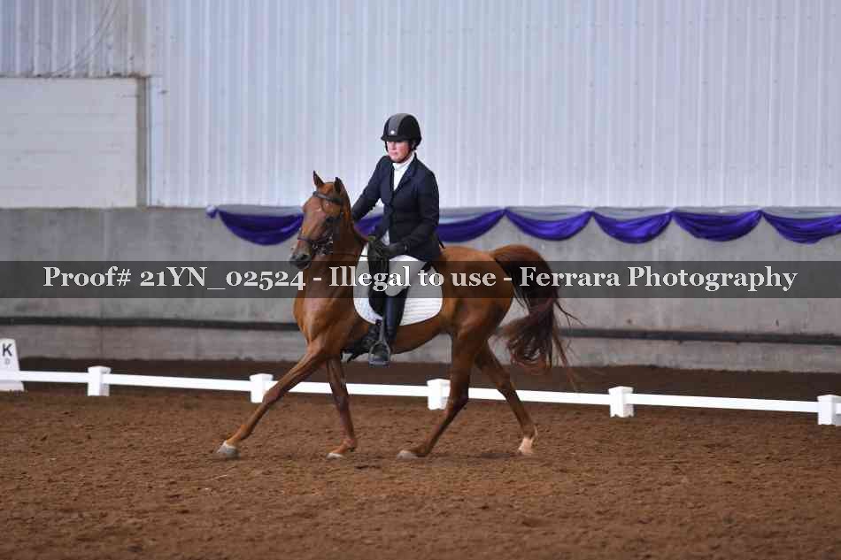 Proof Number 21YN_02524