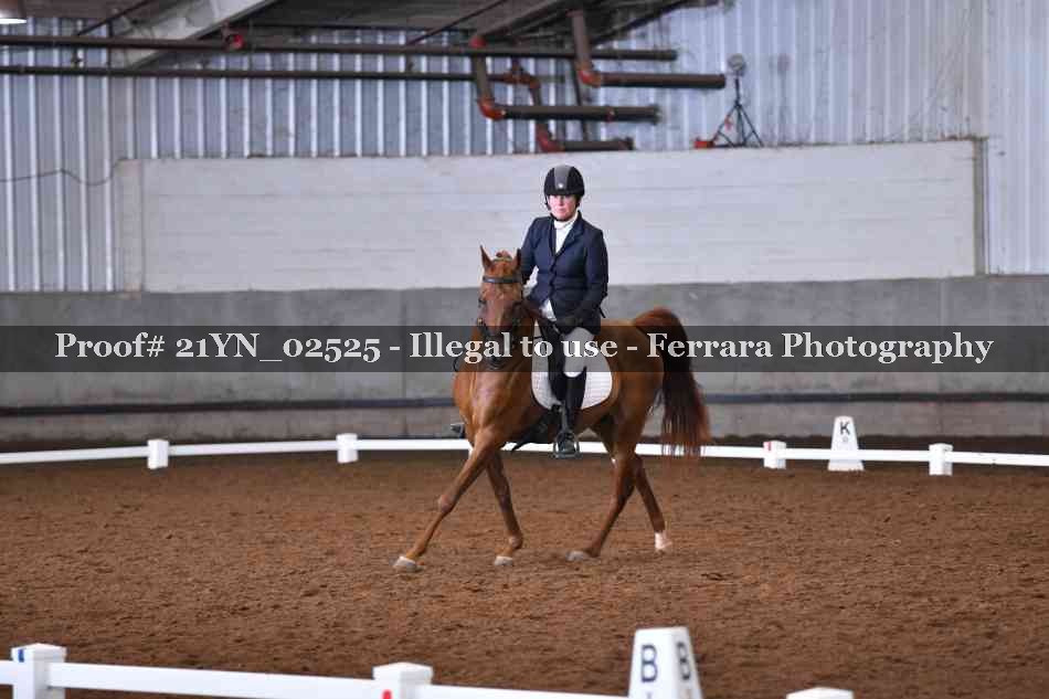 Proof Number 21YN_02525