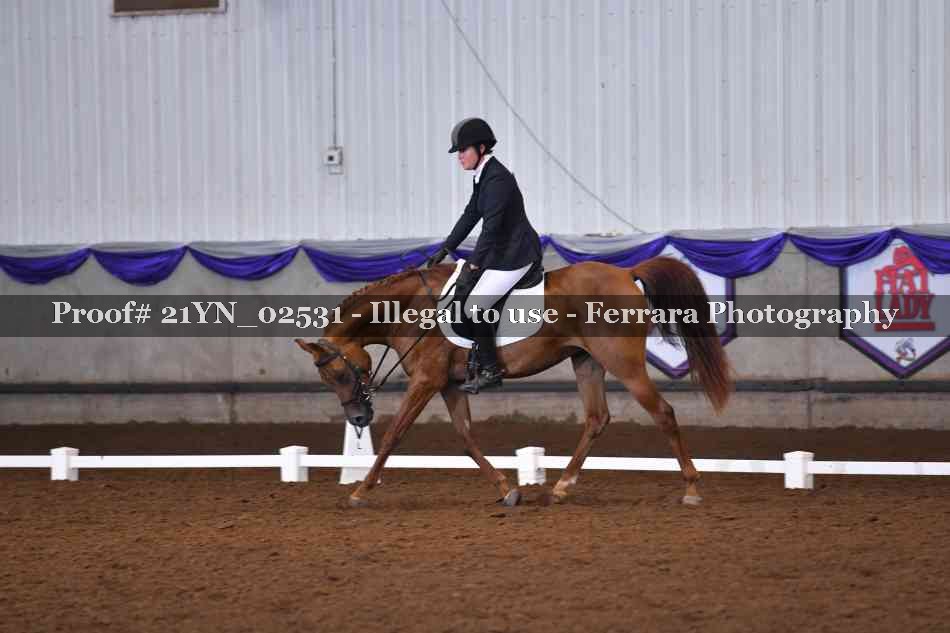 Proof Number 21YN_02531