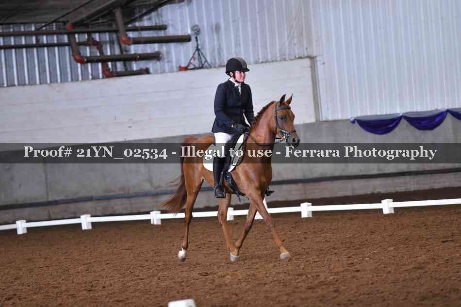 Proof Number 21YN_02534