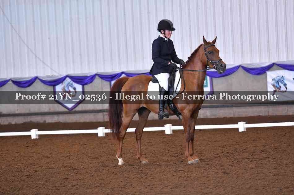 Proof Number 21YN_02536