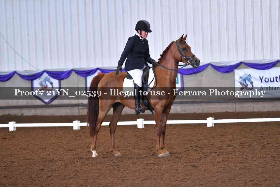 Proof Number 21YN_02539