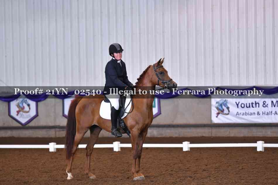 Proof Number 21YN_02540