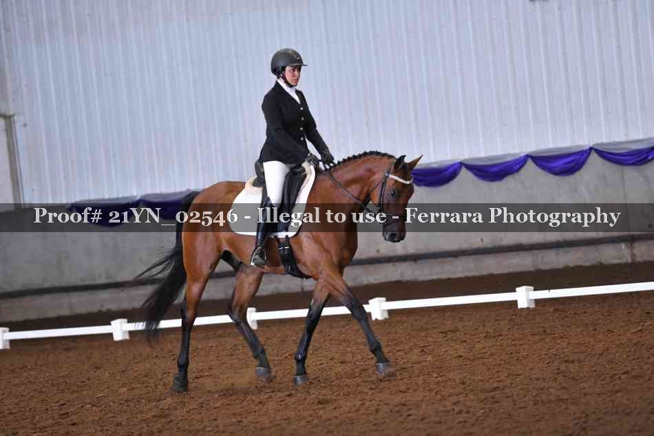 Proof Number 21YN_02546