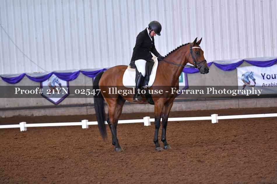 Proof Number 21YN_02547