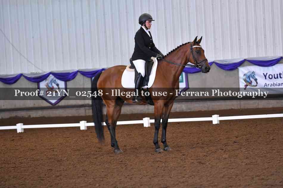 Proof Number 21YN_02548
