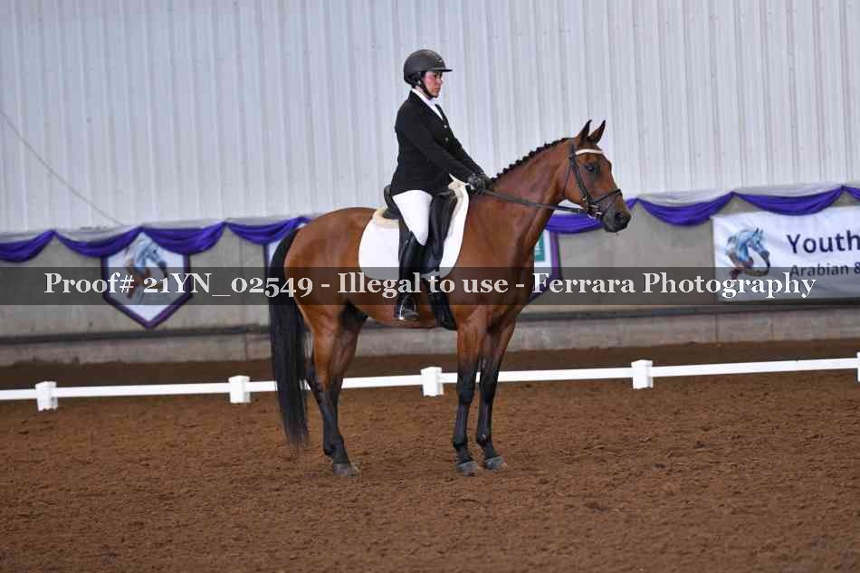 Proof Number 21YN_02549