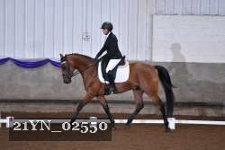 21YN_02550 thumbnail