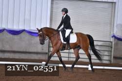 21YN_02551 thumbnail