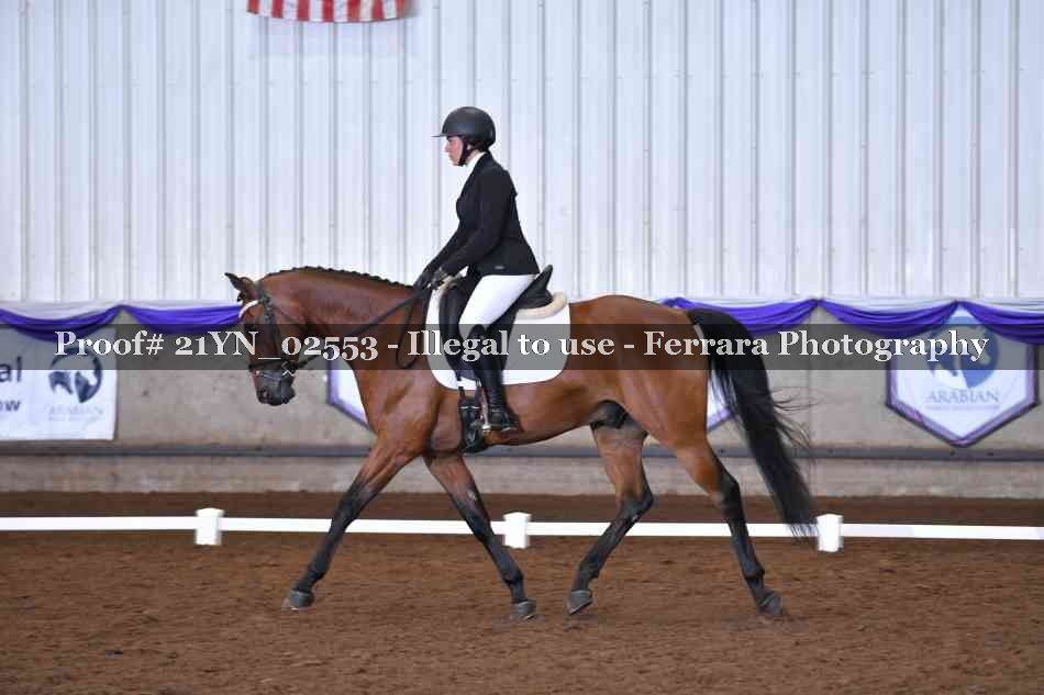 Proof Number 21YN_02553