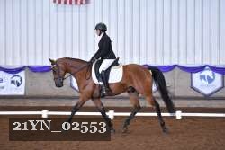 21YN_02553 thumbnail