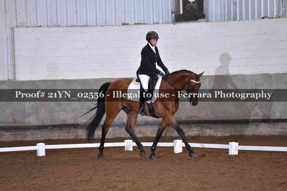 Proof Number 21YN_02556