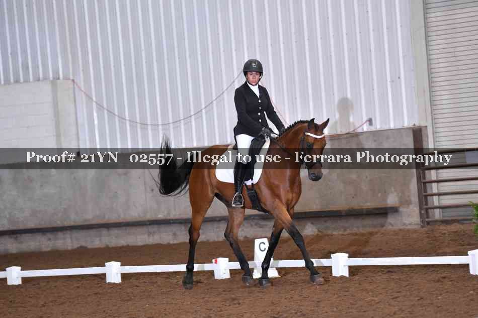 Proof Number 21YN_02557