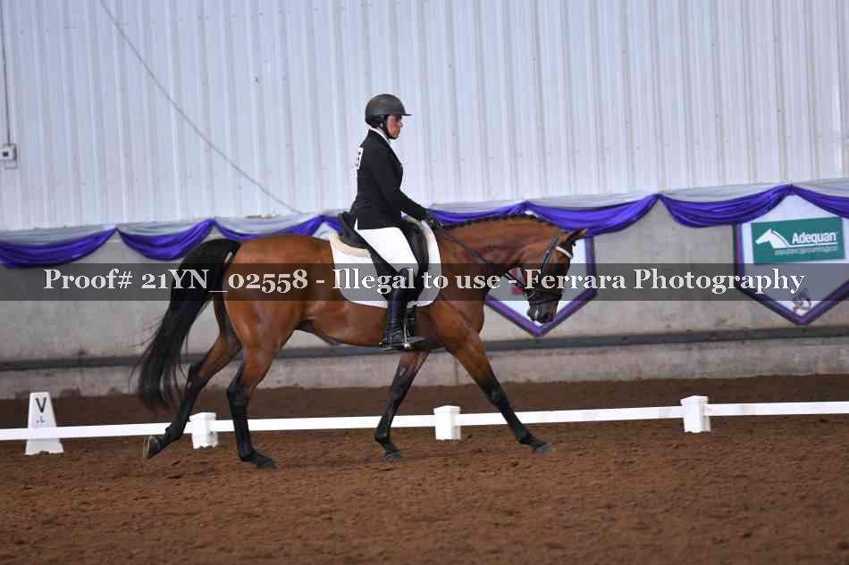 Proof Number 21YN_02558