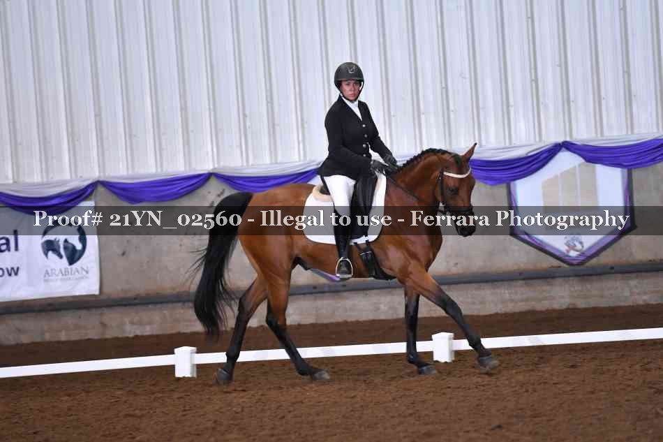 Proof Number 21YN_02560