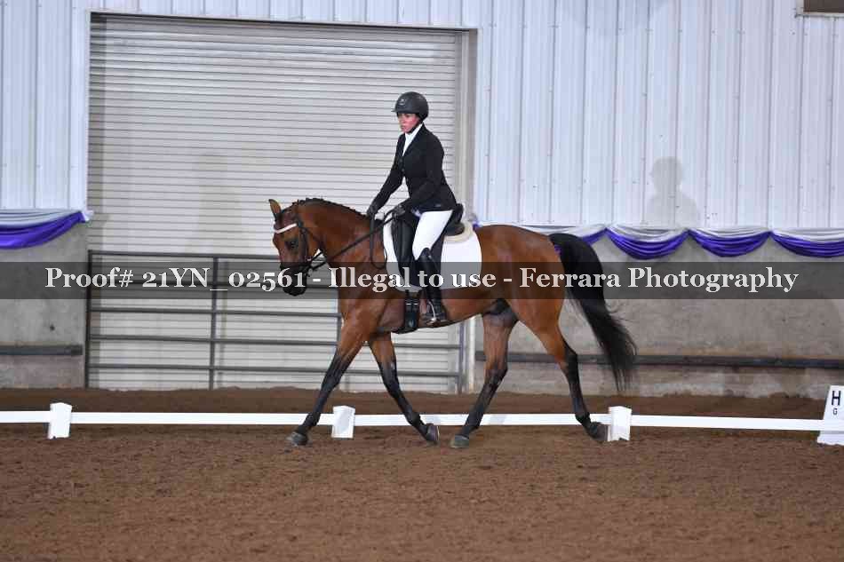 Proof Number 21YN_02561