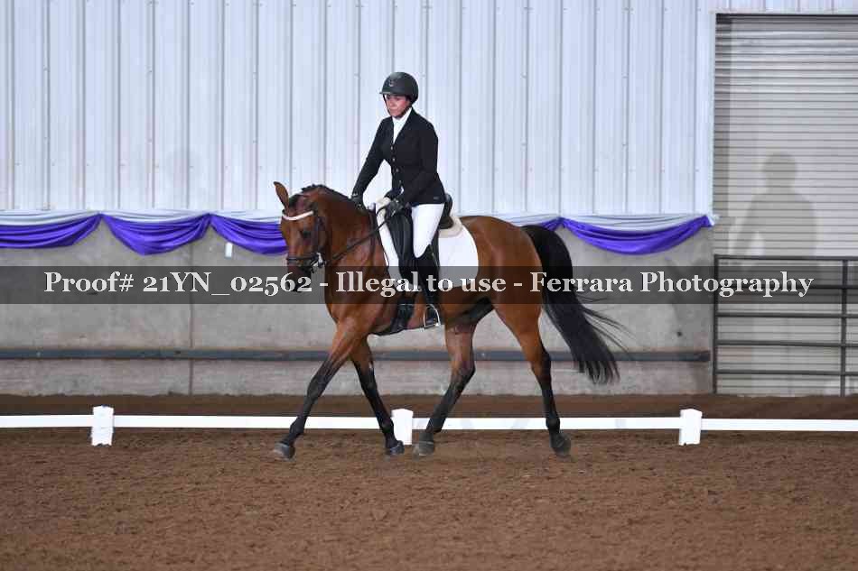 Proof Number 21YN_02562