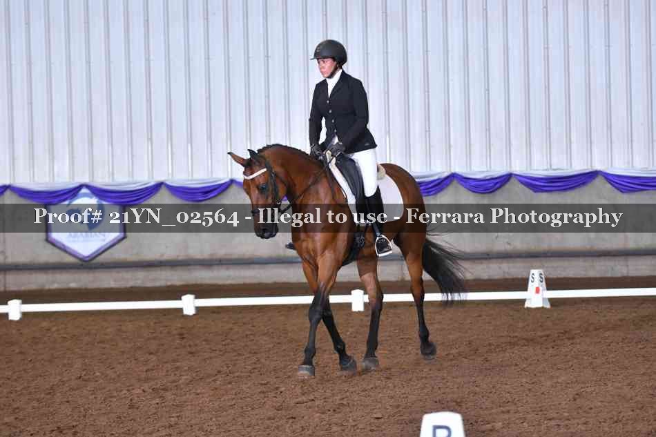 Proof Number 21YN_02564