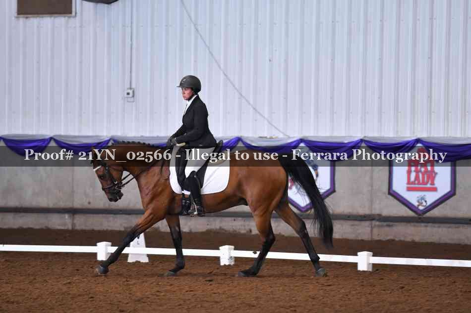 Proof Number 21YN_02566