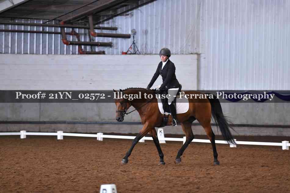 Proof Number 21YN_02572