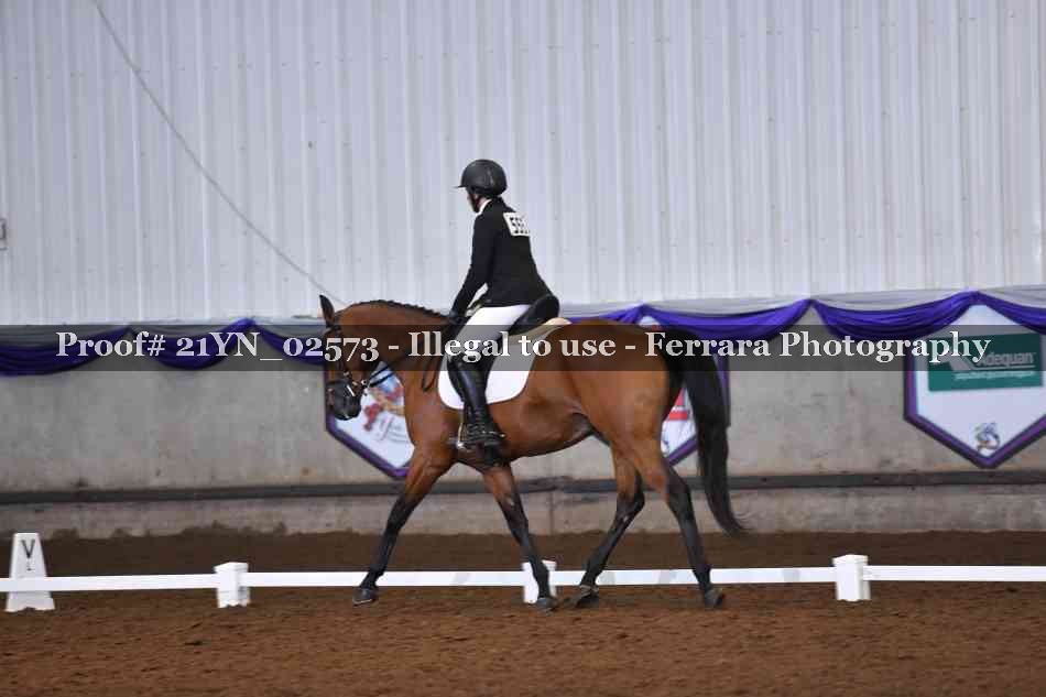 Proof Number 21YN_02573