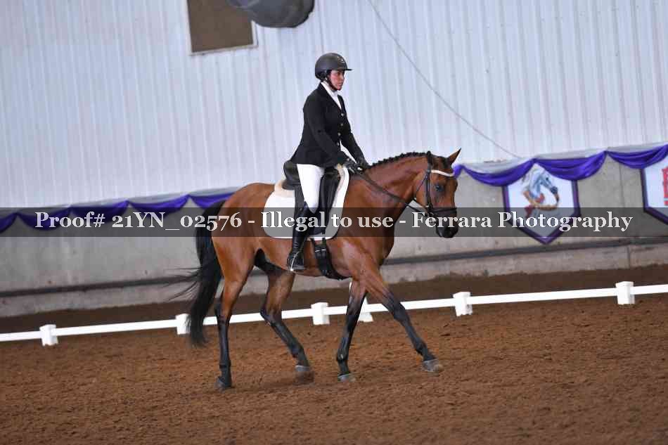 Proof Number 21YN_02576