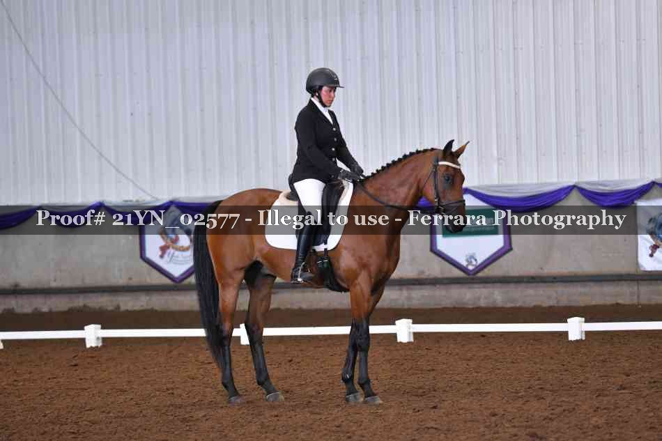 Proof Number 21YN_02577