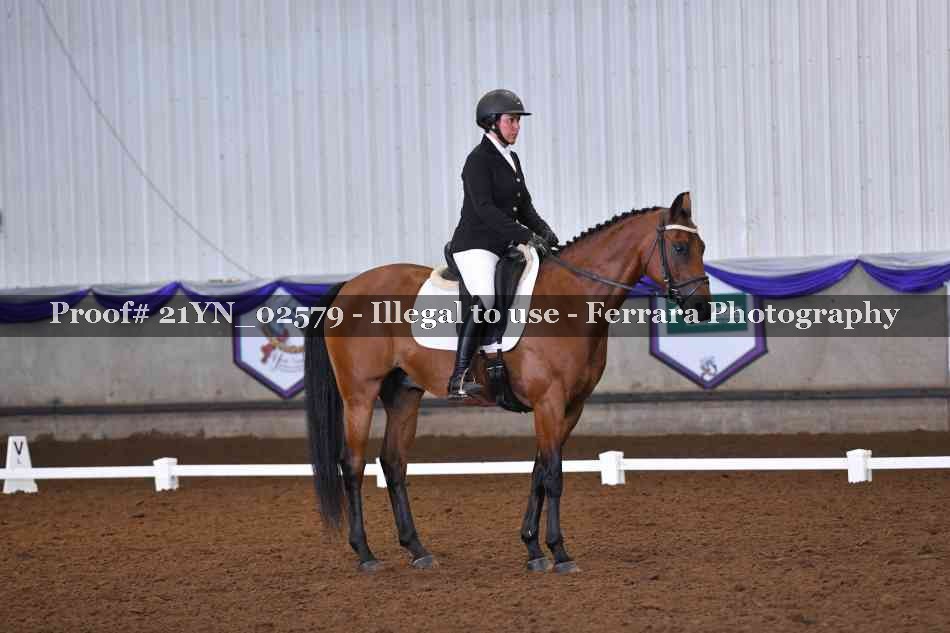 Proof Number 21YN_02579