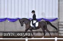 21YN_02582 thumbnail