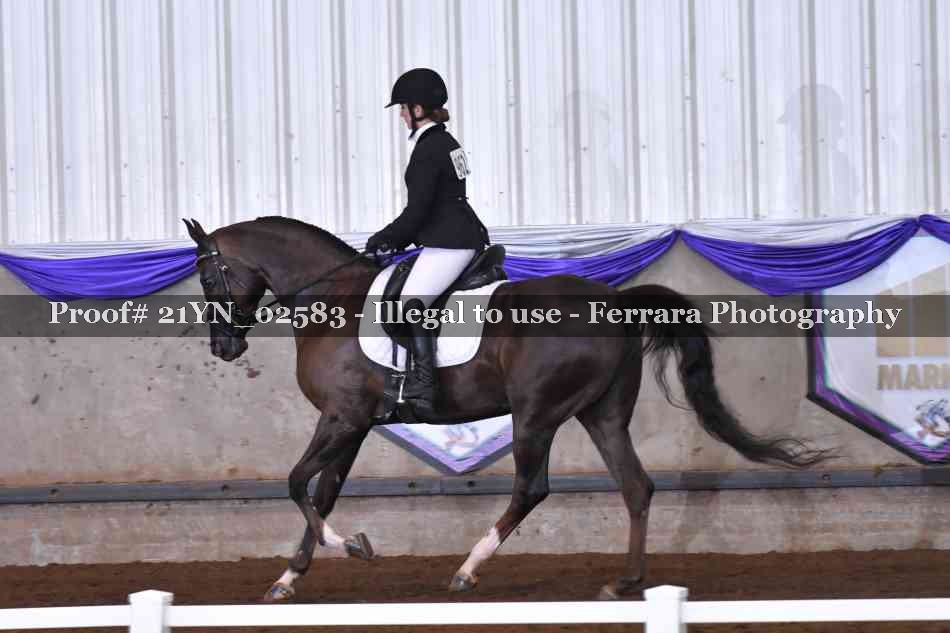 Proof Number 21YN_02583
