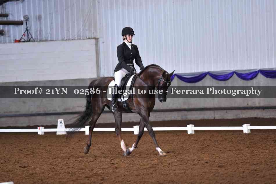Proof Number 21YN_02586