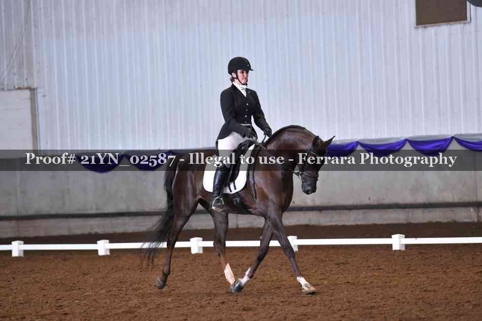 Proof Number 21YN_02587