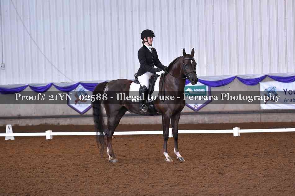Proof Number 21YN_02588