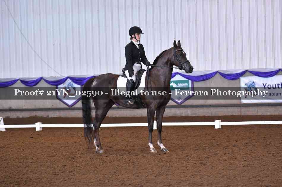 Proof Number 21YN_02590