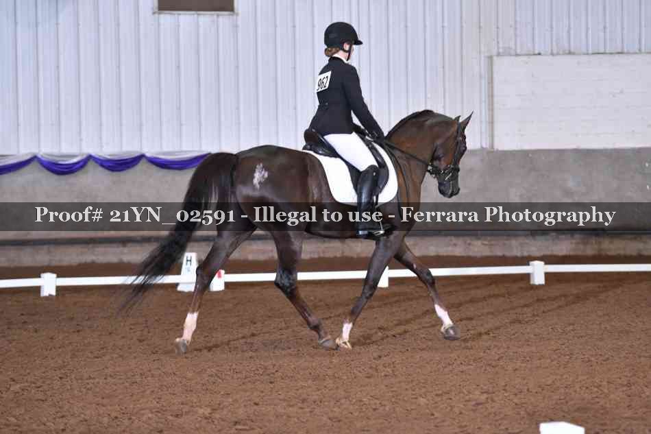 Proof Number 21YN_02591