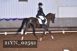 21YN_02591 thumbnail
