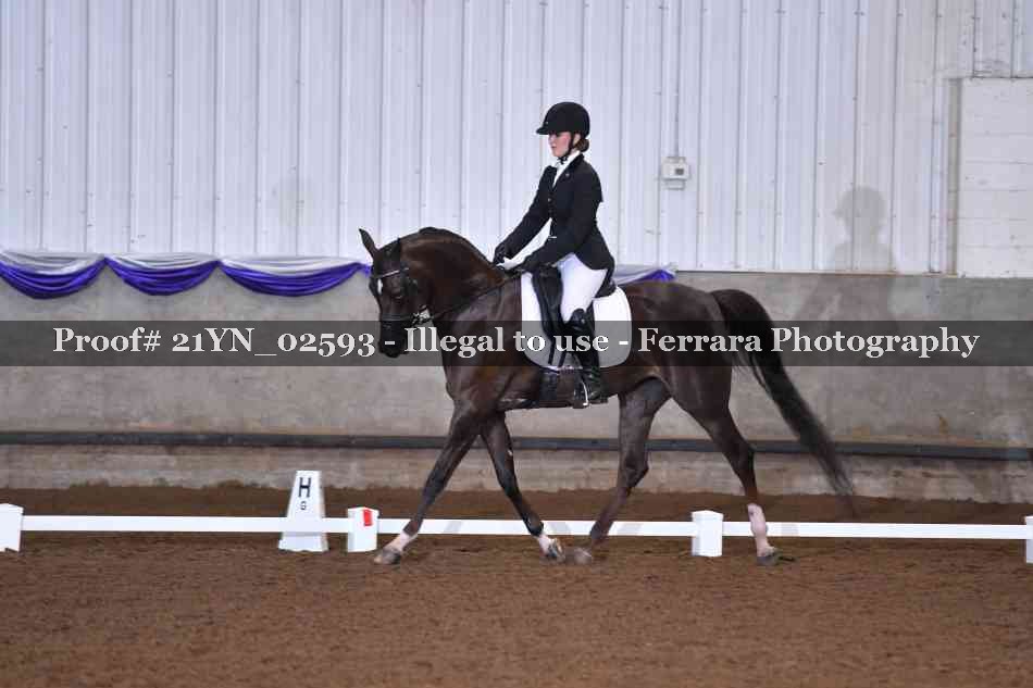 Proof Number 21YN_02593