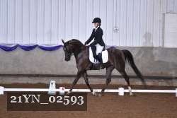 21YN_02593 thumbnail