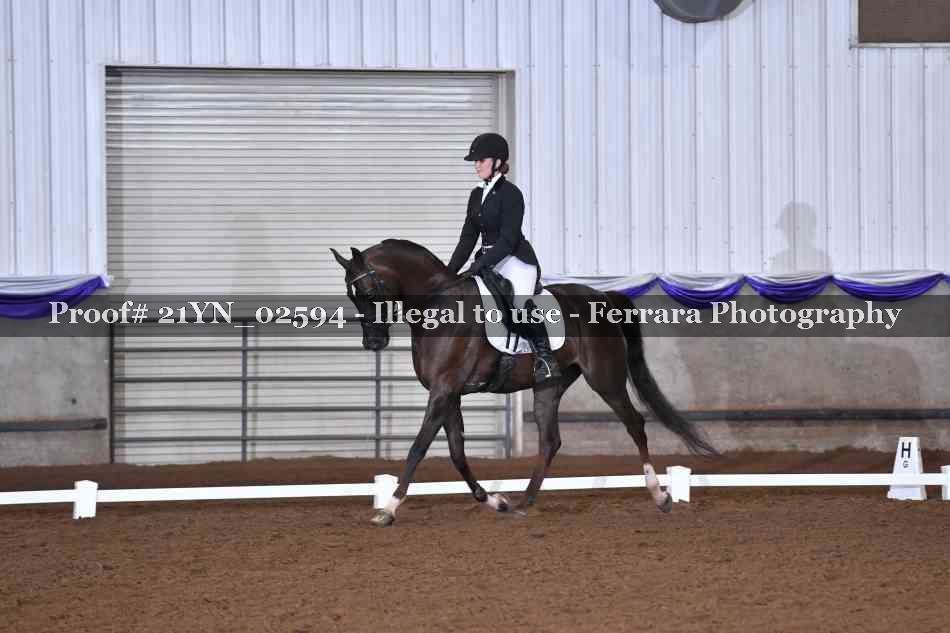 Proof Number 21YN_02594