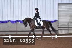 21YN_02595 thumbnail