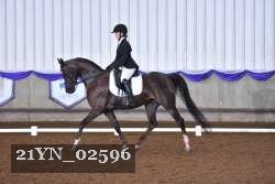 21YN_02596 thumbnail