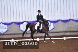 21YN_02600 thumbnail