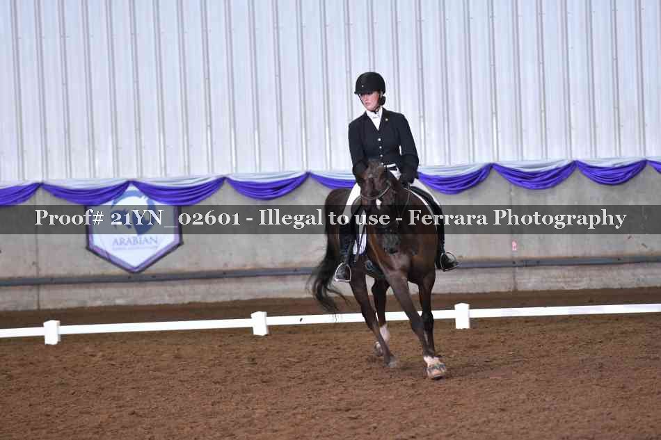 Proof Number 21YN_02601